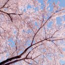 통영소방서(욕지119지역대)