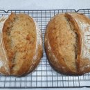 조현덕농장 이미지