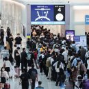 공항 출국장 무단진입·보안요원 폭행한 20대 일본인 여성 입건 이미지