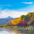 강아지숲 박물관 | 애견동반 여행하기에 좋은 춘천 강아지숲 방문 후기