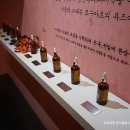 예찬메디 | 힐링도 하고, 인생샷도 찍고! 컨버전스 아트 전시 추천 ‘르누아르: 여인의 향기’