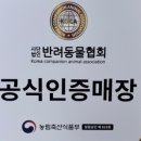 대구강아지분양도그패밀리