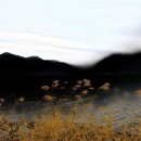 낙동강변 이미지