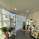 고원장의모공세척테라피 이미지