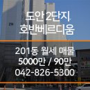 도안 호반베르디움(201동) 이미지