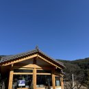 [청도] 고즈넉한 한옥카페 - 아떼에르 인 예다숲