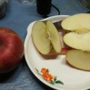 얼음골폭포민박 이미지