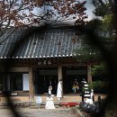 오도일 초상화 네이버블로그
