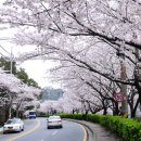 충민로 이미지