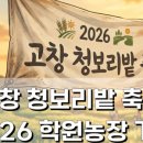 당지농장 | 2026 창경궁 물빛연화 야간개장 서울 야경 명소 완벽 정리
