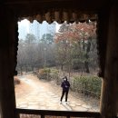 서천근린공원 이미지