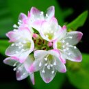 문막체육공원길 이미지