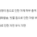 MS광택