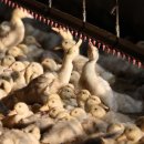 김성태 농장 이미지