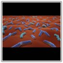 성치과의원 이미지