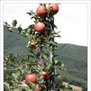 후덕농원 이미지