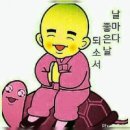 서산대사의 해탈시(解脫詩) 이미지