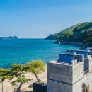 우리들애견 이미지