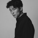 젤리피쉬