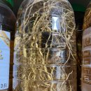 토종 블루베리 까마중 이미지