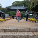 부산이용소 이미지