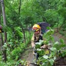 완월동112 이미지