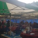 탐진사인마을 이미지