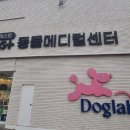 미유펫 강아지분양 고양이분양 전주점 | 미유펫 강아지분양 고양이분양 전주점에서 반려동물과 함께하는 행복한 순간들 🌟