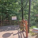 휴가 | 의왕 바라산 자연휴양림 백운산동 여름 휴가 후기