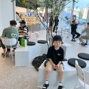 디저트39 운정gtx점