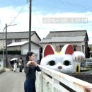 사진찍기좋은날 - 오산시 오산로50번길 24 | 나고야 도코나메 후기｜사진 찍기 좋은 마네키네코와 고구마 디저트까지