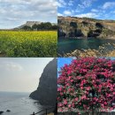 신제주농원 | 제주 동쪽 여행코스 2박3일 정리 (성산·우도 여행)