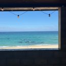 돌담마루 | 강릉 오션뷰 대박 감성 바베큐 돌담너머펜션 (애견동반가능)