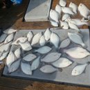 SK목포주유소 이미지