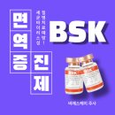 비에스케이(BSK) 이미지