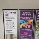 속초컴퓨터세탁공장 | [강원도 속초여행] 가족여행 체스터톤스 속초 숙박후기 - 객실, 수영장, 요리공작소, 조식 등 시설정보