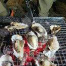 학천야영장 이미지