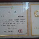 청춘요가 이미지