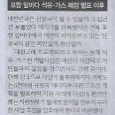 바다가스 Daum카페