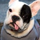 통영동물병원 이미지