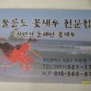울릉도꽃새우 - 북구 화명대로 10 | 울릉도꽃새우