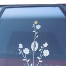 성당포구 이미지