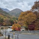 도락산 | 단양 도락산 10월 등산 :: 월악산 단풍, 월악산 도락산 코스, 난이도 중상! 무릎 보호대/등산화 필수