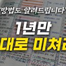 1년만 제대로 미쳐라 이미지