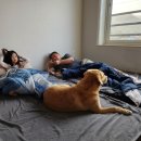 월출산 달빛 푸른집 이미지