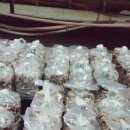 선우농장3 이미지