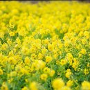 주일목장 이미지