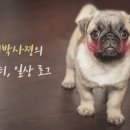 숫컷바버샵 네이버블로그