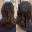 진'S | 박준 개포점 :: 고급 진 S컬 대만족 후기