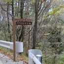 금당 최규용 다비 이미지